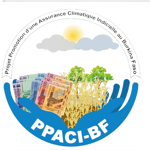Logo PPACI BF